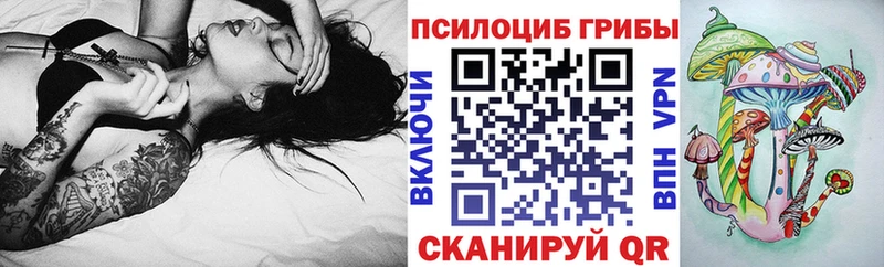 Галлюциногенные грибы Psilocybine cubensis  Купить где  Рудня 